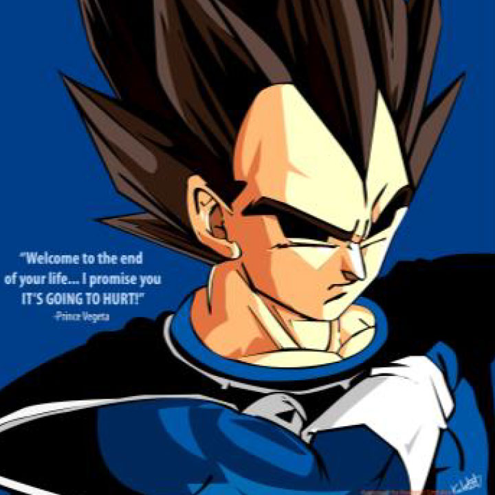 ss vegeta the prince strikes back